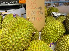 -油麻地果栏