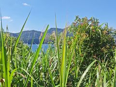 -花亭湖风景名胜区