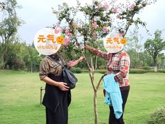 -上海长兴岛郊野公园