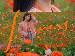 -秀丽东方