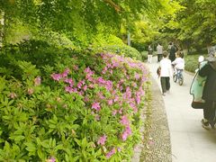 -杭州城北体育公园