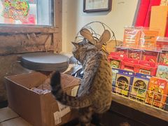 -正阳书局(西四南大街店)