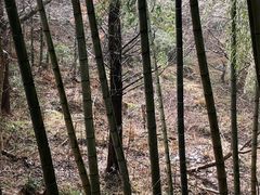 -江南天池高山汤泉城