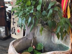 -食德喜·阳山鸡王食研基地