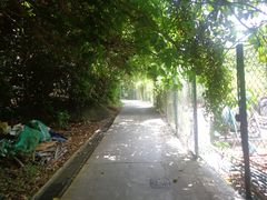 -南丫岛