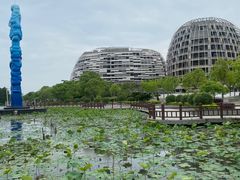 -海天湖公园