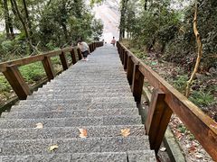 -云碧峰国家森林公园