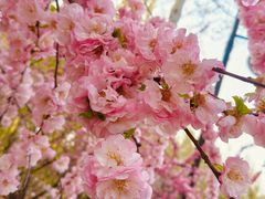 -群力丁香公园