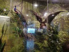 -下渚湖国家湿地公园科普馆