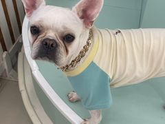 -怪兽屋·羊驼·猫咖·狗咖(俊华广场店)