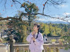 -塔川景区