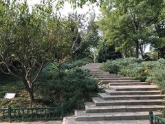 -北坞公园