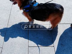 -二沙岛艺术公园