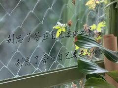 -绿房子方寸咖啡(星海名城店)