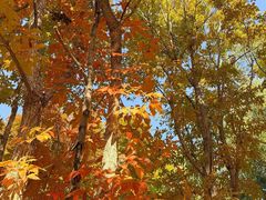 -长春市南湖公园