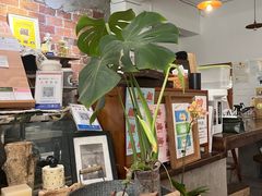-ABCD咖啡屋(妇幼店)