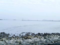 -吴淞炮台湾湿地森林公园烧烤区