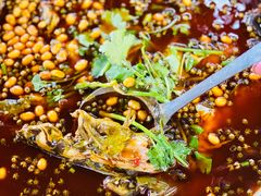 老坛酸菜黄辣丁-青城甲(青城山店)