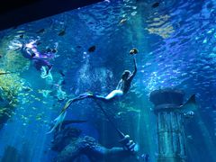 -波塞冬旅游度假区