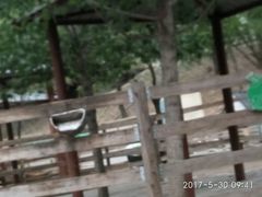 -北京鹿世界主题园