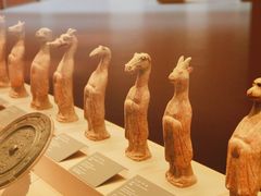 -西安大唐西市博物馆