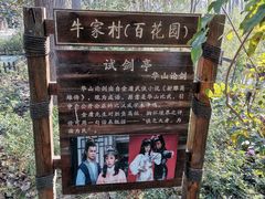 -合肥滨湖国家森林公园