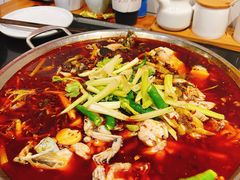 仔姜锅底-小饕荟雅安贡椒鱼鲜馆(广福桥店)