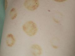 -1号足道推拿会馆