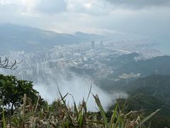 -梧桐山风景名胜区