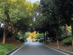 -天目湖御水温泉·度假酒店