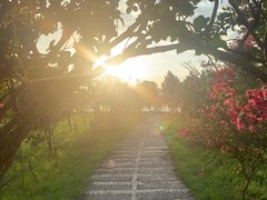 -瑶湖郊野森林公园