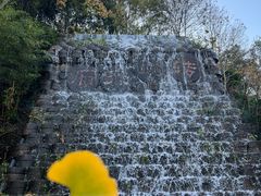 -千年银杏谷文化旅游区