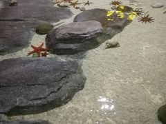 -福州罗源湾海洋世界旅游区