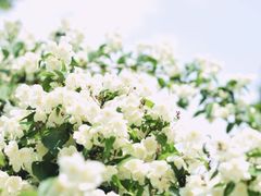 -长春公园(普阳街道)