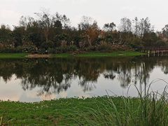 -桤木河湿地公园