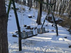 -鲁山国家森林公园