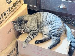 -正阳书局(西四南大街店)
