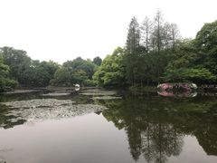 -山外山菜馆(玉泉路店)