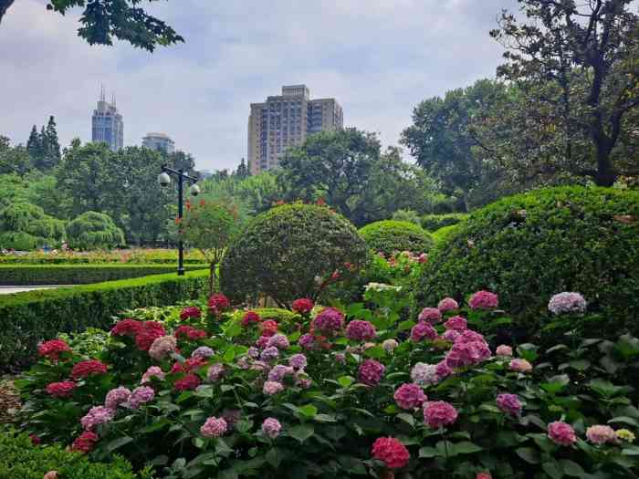 复兴公园-"很喜欢这样的法式公园,高高的梧桐树下的林.