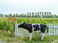 -安德鲁户外烧烤帐篷营地(马泉营店)