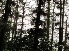 -象山森林公园