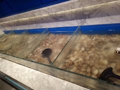 -火锅岛潮牌自助餐厅(天津天佑城店)