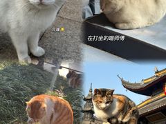 -西园戒幢律寺