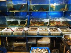 -福建美食城(老君堂店)