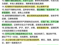 -日照海滨国家森林公园