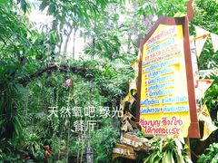 -绿光森林餐厅