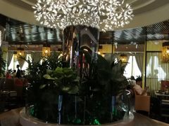 大堂-润园四季椰子鸡火锅(海上世界店)