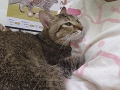 -芭比堂动物医院广州顽皮分院