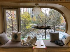 -猫和宫(六道口店)