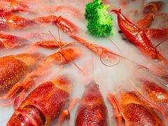 -红盔甲·小龙虾(天钥桥店)